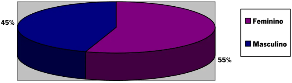 Gráfico 1.1 – Sexo dos Respondentes (2009) 