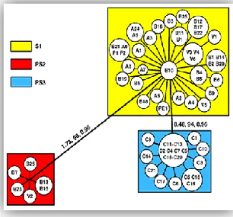 Figure  1.  Unrooted  tree  showing  the  partitions  found  in  P. 