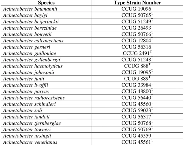 Table 1. Acinetobacter type strain species (Euzéby, 1998) 