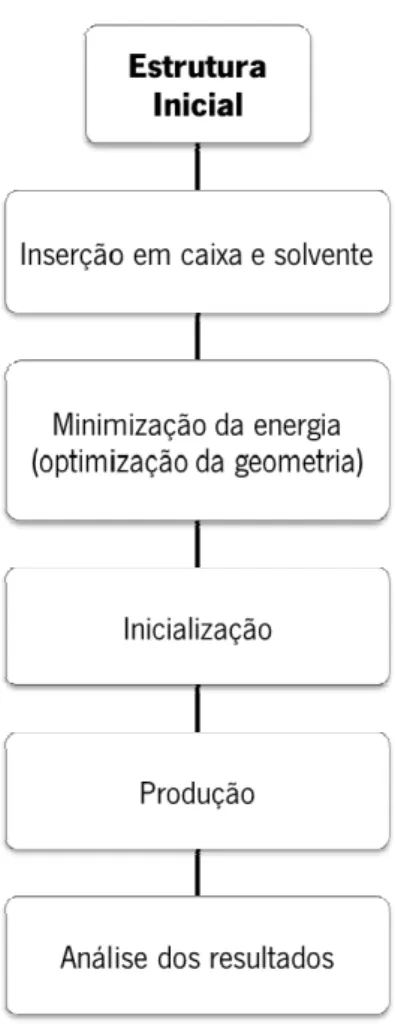 Figura 12. Esquema ilustrativo das etapas associadas a um protocolo padrão de experiências  de simulação de DM