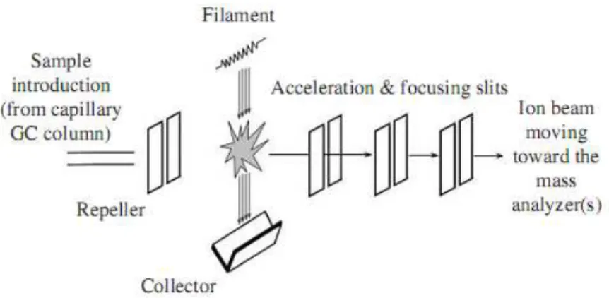 Figura 9. Diagrama dos componentes de uma fonte de ionização por impacto electrónico  [27] 