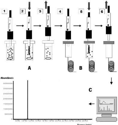 Figura  3.5.  Representação  esquemática  das  diferentes  etapas  que  constituem  o  processo de microextração em fase sólida da anatoxina-a derivatizada com IBCF: A) processo de  adsorção;  B)  desorção  na  entrada  do  injetor  e  C)  Cromatograma  ob