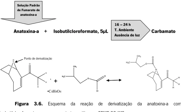 Figura  3.6.  Esquema  da  reação  de  derivatização  da  anatoxina-a  com  isobutilcloroformato para a sua posterior análise por SPME-GC/MS