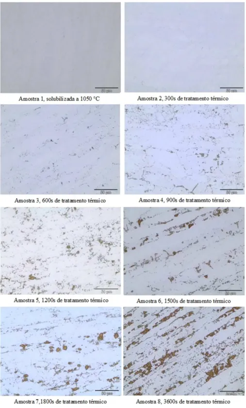 Figura 6.  Microestrutura das amostras após o tratamento térmico efetuado a 870 °C.