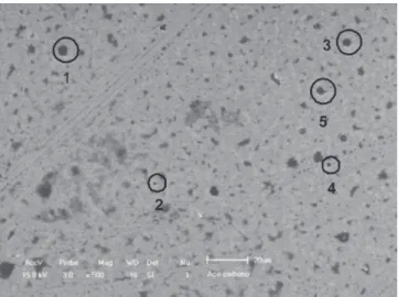 Figura 11. Imagem do MEV sem ataque químico com aumento  de 500X – acabamento