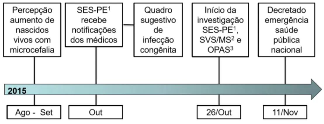 Figura X – Microcefalia em nascidos vivos na Região Metropolitana do Recife. 