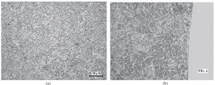 Figura 8 – Microestruturas típicas do metal base AISI 316L em  região afastada da solda.