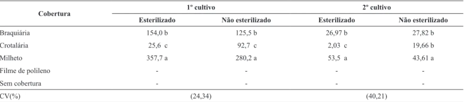 Tabela 1. Massa seca de palhada (gramas vaso -1 ) por ocasião do plantio do feijão-caupi no primeiro e no segundo cultivo.