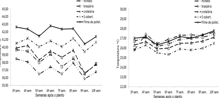 Tabela 2. Efeito de diferentes coberturas na sobrevivência de Macrophomina phaseolina em dois cultivos sucessivos com feijão-caupi e dois  tipos de utilização do solo.