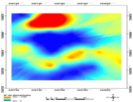 Figura 4. Mapa da distribuição espacial de Meloidogyne javanica em área com baixa infestação.