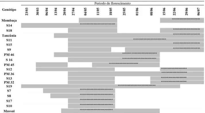 Figura 3. Período de florescimento e pico de cárie do sino de vinte genótipos de Panicum maximum