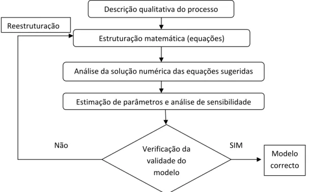 Figura 1 : Esquema exemplificando os diferentes passos realizados até obter um modelo que descreva  correctamente um processo
