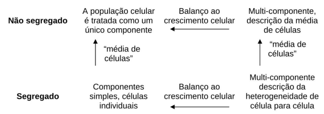 Figura 2: Classificação da representação matemática dos modelos biológicos de acordo com Bailey [27]