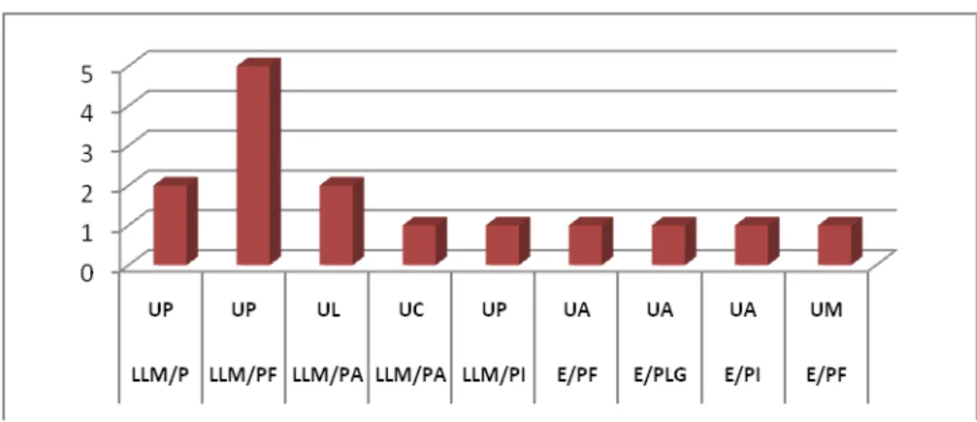 Gráfico 2 – Distribuição dos professores por curso e instituição de ensino superior 