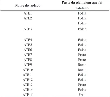 Tabela 1. Isolados de Colletotrichum spp. E as partes da planta de atemóia de  onde foram isolados