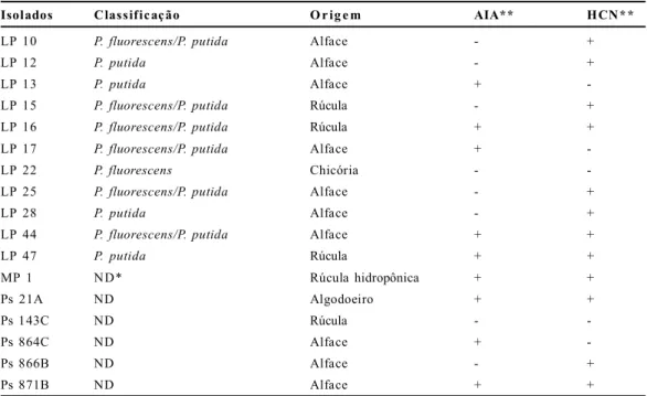 Tabela  1.  Identificação,  classificação  e  origem  dos  isolados  do  grupo  fluorescente  de  Pseudomonas  sp
