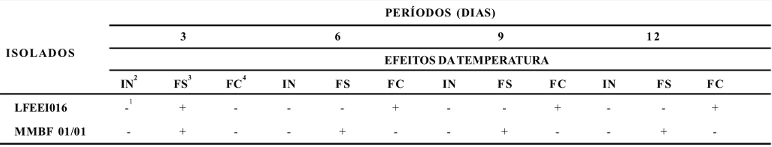 Tabela  2.  Efeitos  de  fungistase,  fungicida  ou  inócuo  provocados  pela  temperatura  de  33ºC  e  depois  retorno  a  temperatura  de  23ºC  sobre  o  micélio  de isolados  de Cylindrocladium  spathiphylli,  de  espatifilo,  incubados  em  condições