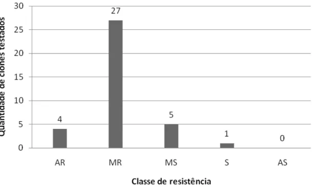 Tabela  1. Análise  da  dinâmica  e  estrutura  de  focos  da  murcha  por Ceratocystis  na  região  de  Três  Lagoas/MS