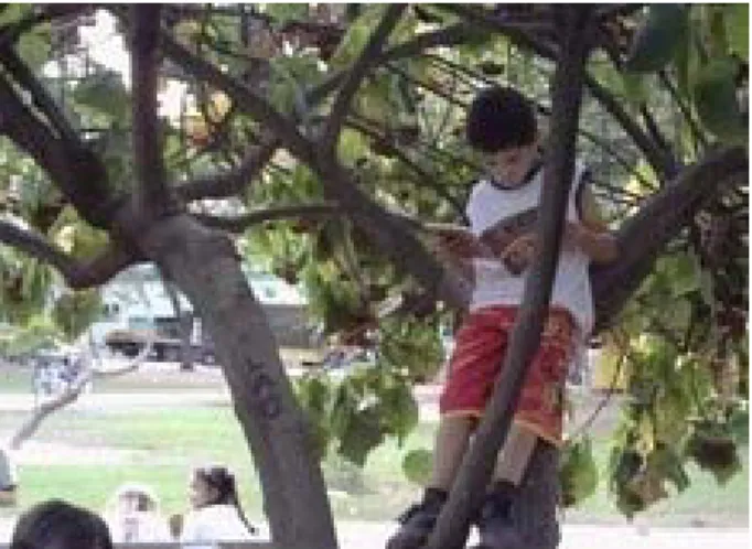 Foto 52 – A árvore da praça é transformada pelos meninos em local de leitura, ITU –SP,  fotografia da autora, 29 de julho de 2008