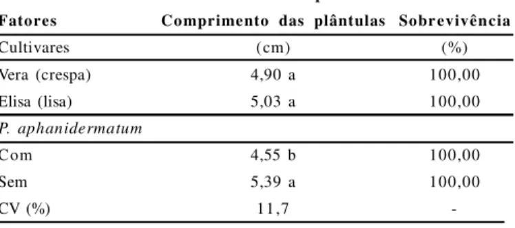 Tabela  1.  Comprimento  de  plântulas  e  sobrevivência  de  quatro  cultivares de  alface,  na  presença  e  ausência  de  Pythium  aphanidermatum.