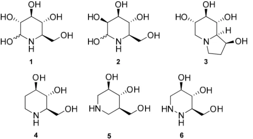 Figura 1 - Alguns exemplos de aza-açúcares naturais e sintéticos. 