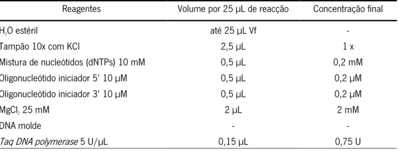 Tabela 2.1: Componentes das reacções de PCR utilizadas para testes de oligonucleótidos de iniciação e  PCR de colónias de bactérias
