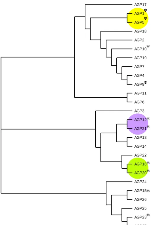 Figura 3.1: Árvore filogenética obtida a partir do alinhamento múltiplo das sequências proteicas das AGPs clássicas,  dos péptidos AG e das AGPs ricas em lisina de  Arabidopsis thaliana , utilizando o programa T-Coffee