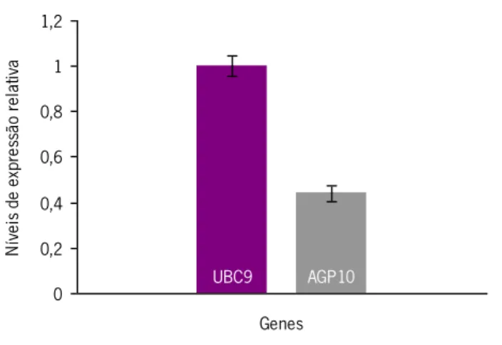 Figura 3.4: Gráfico representativo dos níveis de expressão relativa do gene da AGP10 utilizando como gene 