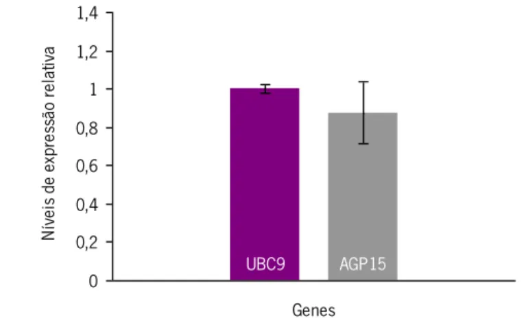 Figura 3.6: Gráfico representativo dos níveis de expressão relativa do gene da AGP15 utilizando como gene  de referência o gene da UBC9
