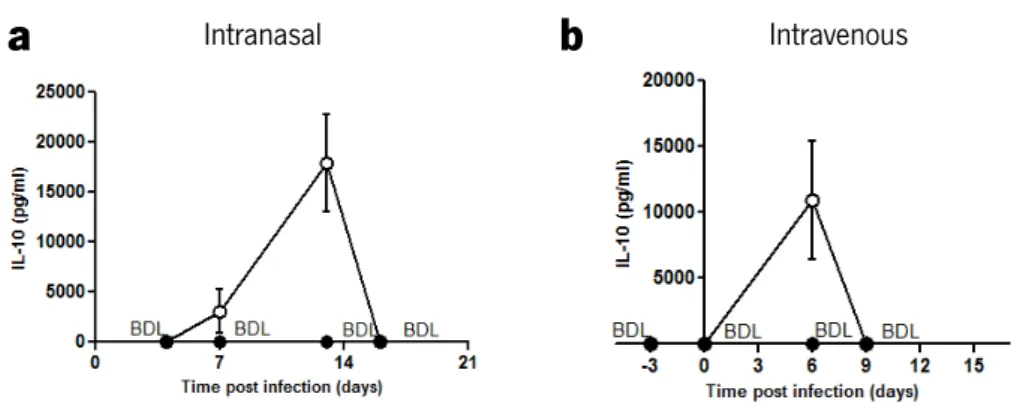 FIGURE 1.  i-PMT-10 mice transiently over-produce IL-10 during intranasal or intravenous  M