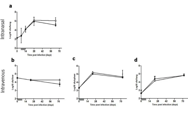 FIGURE 2.  Early IL-10 over-expression does not affect the resistance of i-PMT-10 mice to either  intranasal or intravenous  M