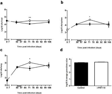 FIGURE 10.  i-PMT-10 mice are transiently more susceptible to intravenous  M. tuberculosis  than control  littermates