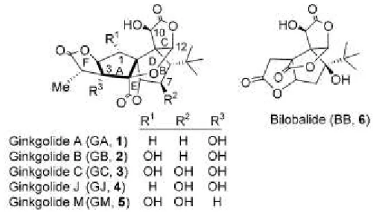 Figure 2 - Structure of five ginkolides and bilobalide [31]. 