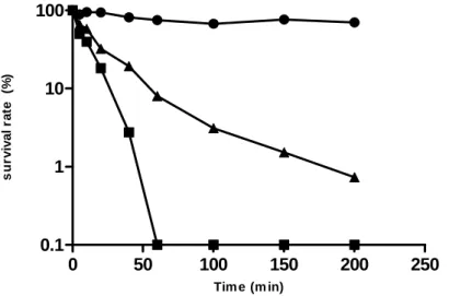 Figure 8 – GBE increases viability of S. cerevisiae cells under oxidative stress. Yeast cells were 