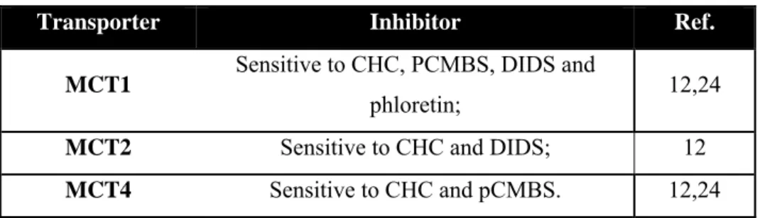 Table 2: Sensitivity of MCT1, MCT2 and MCT4 to each type of inhibitor. 