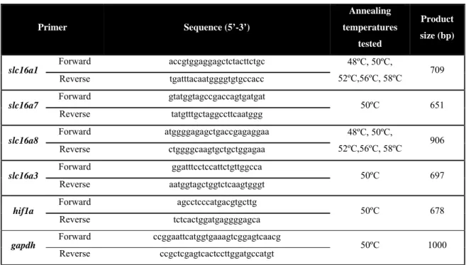 Table 4: Primer pairs for the genes under study: sequence, annealing temperatures tested and  product size