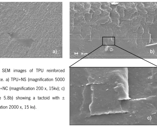 Figure 5.9- SEM images of TPU reinforced fractured surface. a) TPU+HSCB  (magnification 20 000 x,  10kv); b) TPU+CNF (magnification 2000 x,15kv); 
