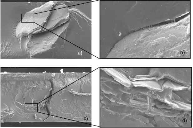 Figure 5.10  b) shows agglomerations of NC know as tactoids. The dispersion and exfoliation of  nanoclays in a polymer matrix proved to be a complex chemical/physical process