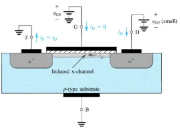 Figura 27 – Aplica-se uma tensão V DS  positiva entre o drain e a source [20]. 