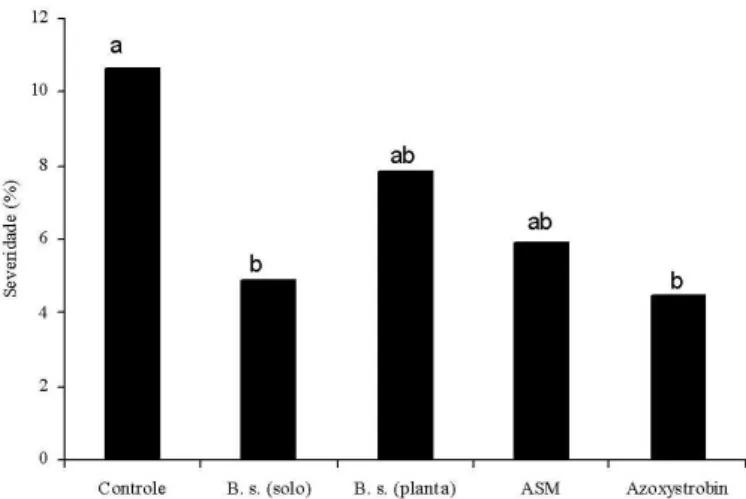 Figura 1. Atividade da peroxidase em folhas de tomateiro tratadas com água (controle), Bacillus subtilis (B