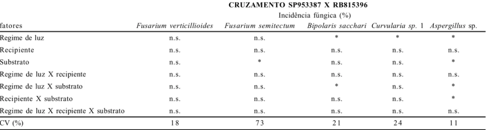 Tabela 3 - Significância das interações metodológicas entre Regime de luz, recipiente e substrato, na incidência fúngica em sanidade de sementes do cruzamento SP953387 X RB815396