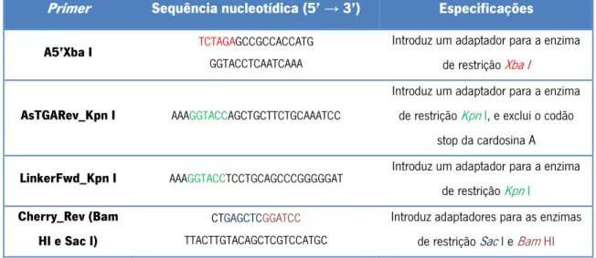 Tabela  2.1  -  Primers   utilizados  na  amplificação  dos  fragmentos  de  DNA  de  cardosina  A  e  linker-mCherry por PCR
