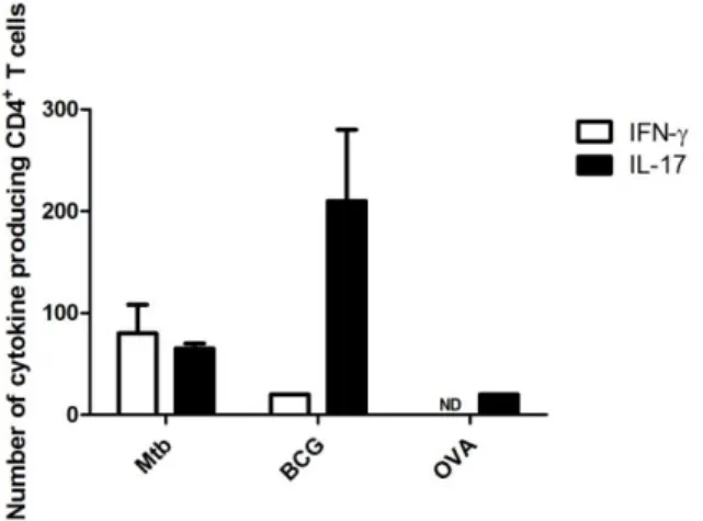 Figure 4 - Differential Th responses are induced  in vitro  by  M. tuberculosis - or BCG-infected  DCs