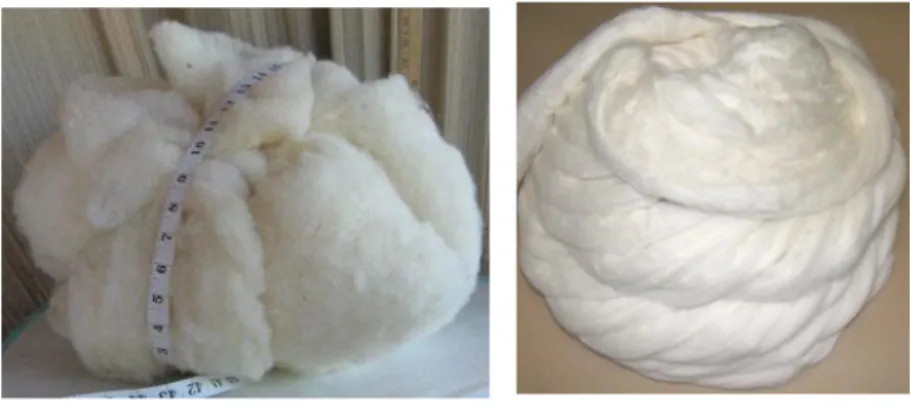 Figura 3 e 4: Lã orgânica 