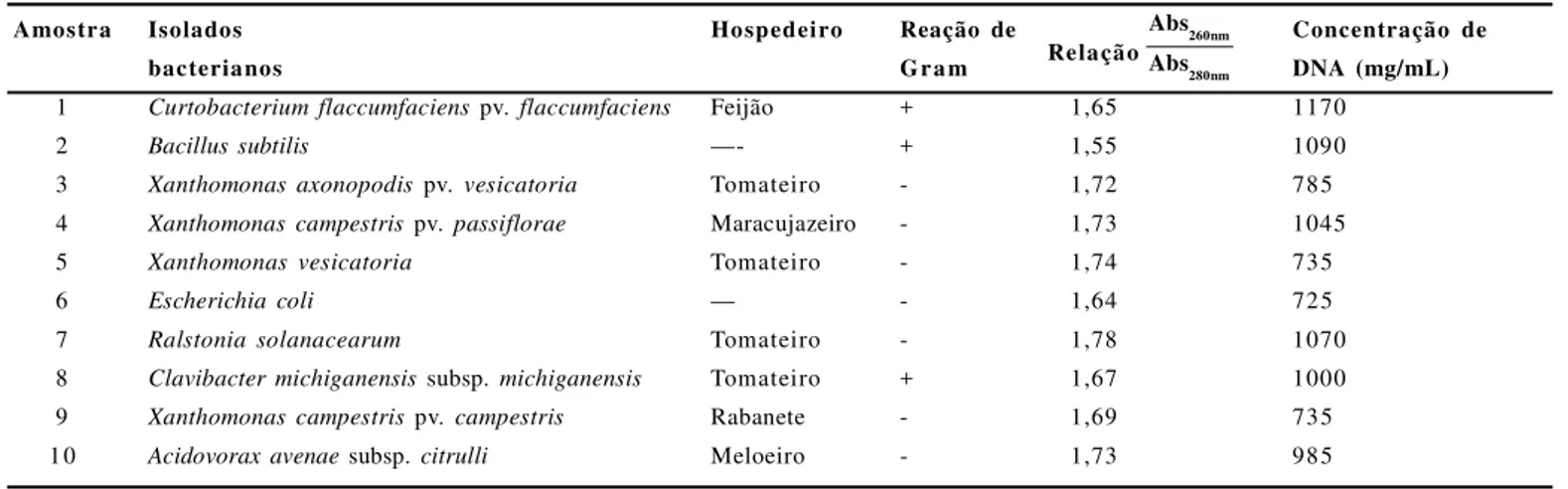 Tabela  1.  Bactérias  utilizadas,  valores  de  razão  de  absorbância  e  concentração  do  DNA.