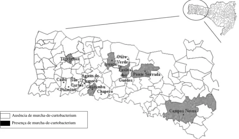 Tabela 1 – Características dos isolados de C. f. pv. flaccumfaciens obtidos em lavouras de feijão do Estado de Santa Catarina.