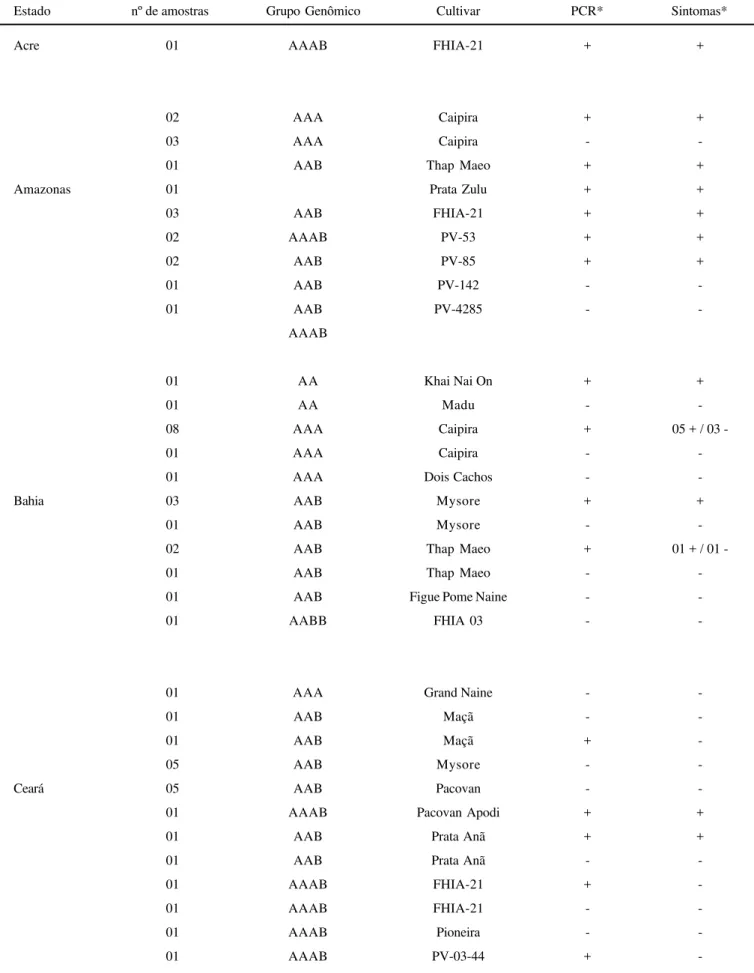 Tabela 1. Presença do Banana streak virus (BSV) confirmada por PCR, em diferentes cultivares de bananeiras, provenientes de diferentes localidades do Brasil.