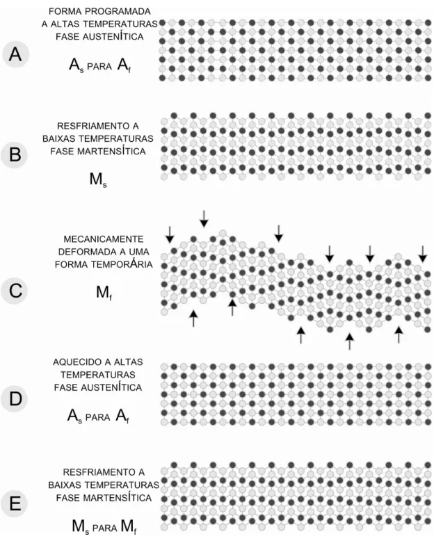 Fig. 3.1 - Esquema ilustrativo da fase de transição e a estrutura cristalina do SME  (Honkala, M., 2006, p