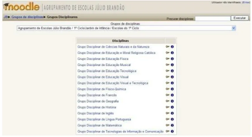 Figura 2.3 - Moodle – Disciplinas 