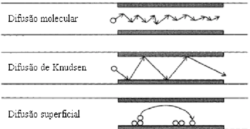 Figura 2.5 – Representação esquemática dos diferentes mecanismos de difusão num material  poroso_ [26]